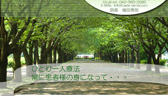 �{���s ���� �������� ���䂤���Ȏ��E�G�_�@�z���C�g�j���O